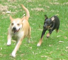 Chi-May and Freya